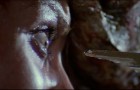 Zombie Flesh Eaters Competition