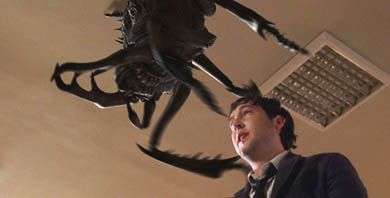 infestation2 copy