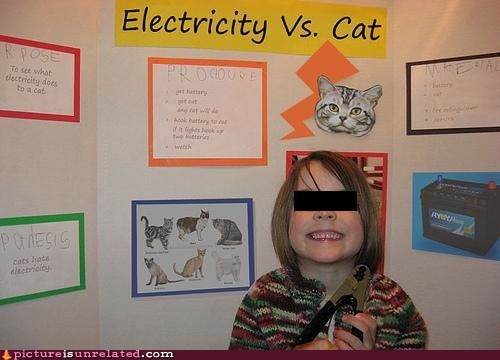 Catkiller