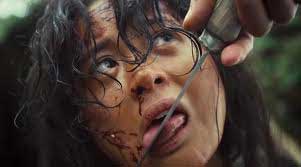 Bedeviled 2010 film