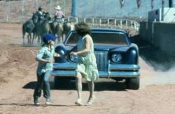 The Car