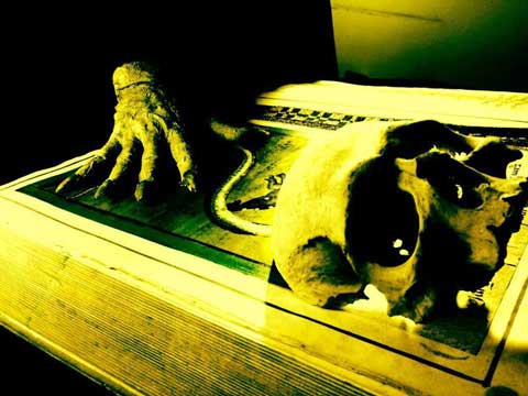  Italian Masters of Horror Return and Collaborate on The Book