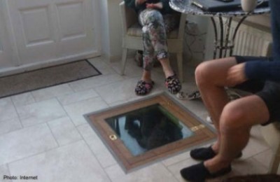 Well glass door floor