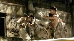 Zombie Fight Club