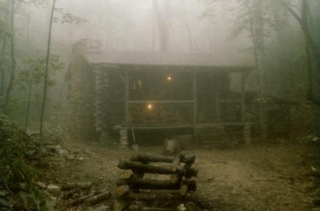 Cabin Fever: Terror Among the Trees