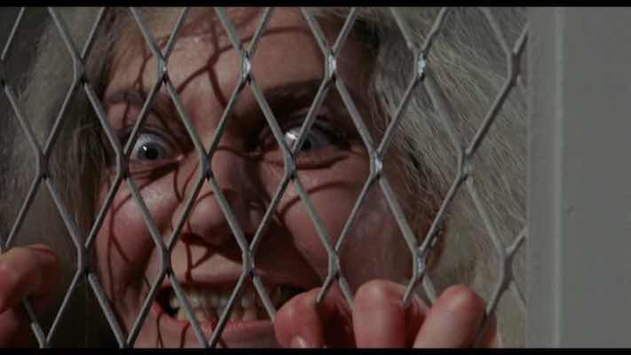  THE HORROR! THE HORROR! H.P. LOVECRAFT ONSCREEN