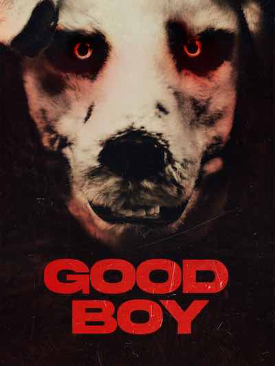 Good Boy