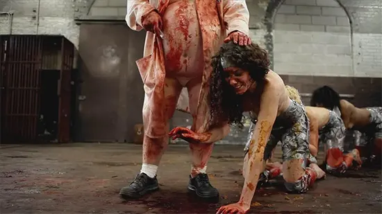 The Human Centipede 2