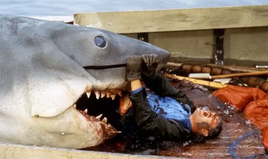 Jaws