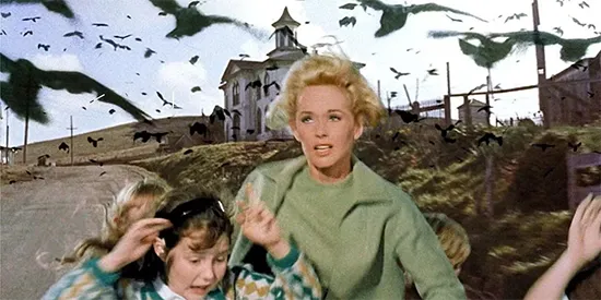 The Birds
