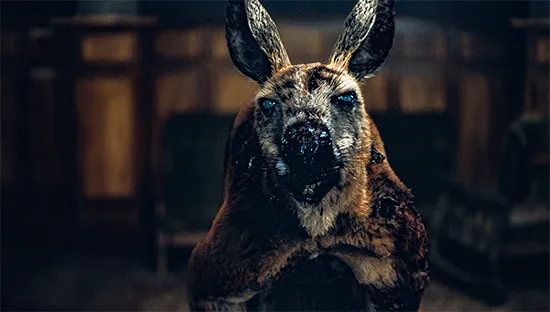 Rippy Kangeroo horror movie