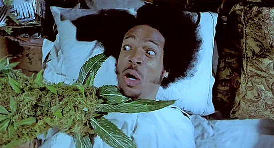 Stoner Horror
