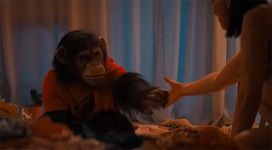 Primate 2025