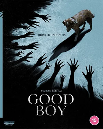 Good Boy