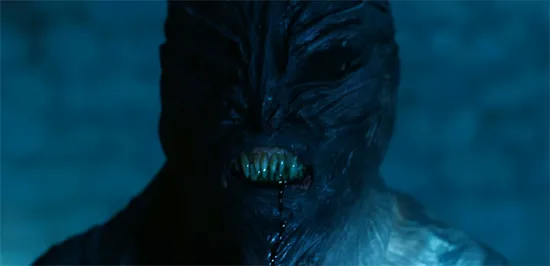 Follow the Dark 