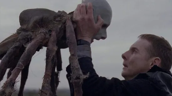 Possum