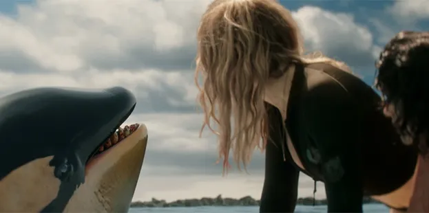 Killer Whale 2026