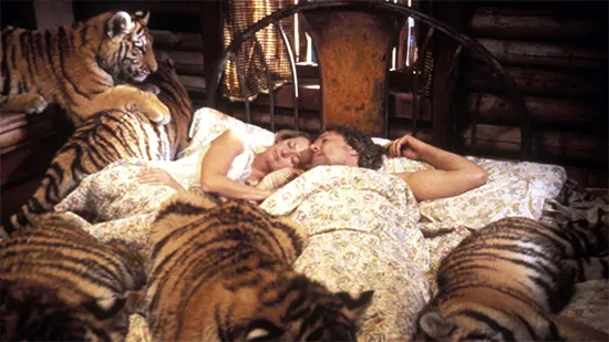 Roar 1981
