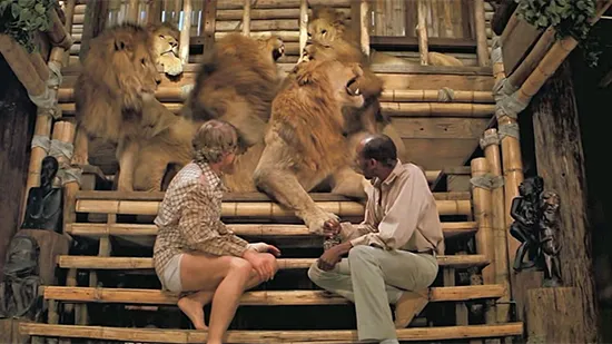 Roar 1981