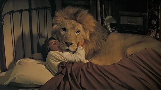 Roar 1981