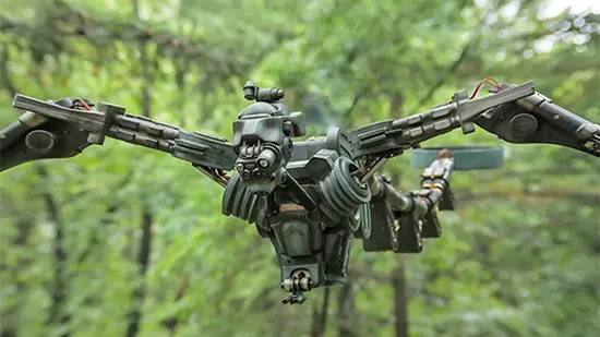 Dragn 2025