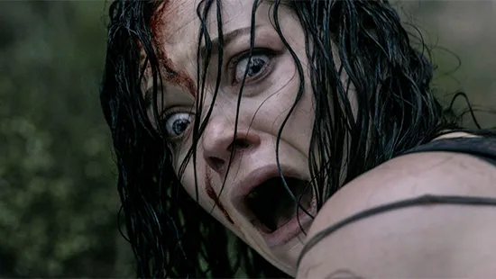 Evil Dead 2013