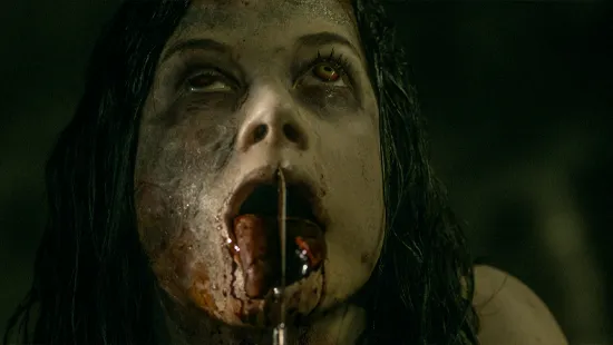 Evil Dead 2013