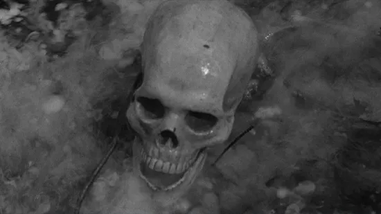 The Screaming Skull Eureka