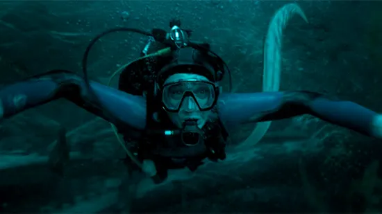 Whalefall 2026